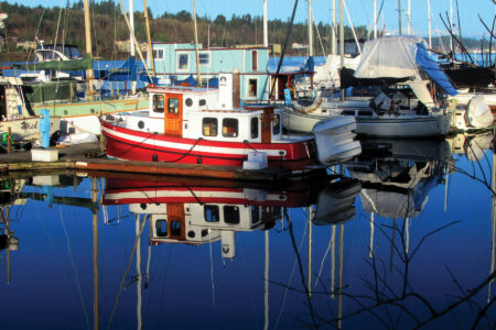 Photos from the Field: Red Boat Brightens Marina Image